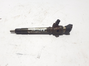   Fuel injector 