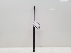 Hood prop/gas strut
