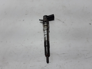   Fuel injector 