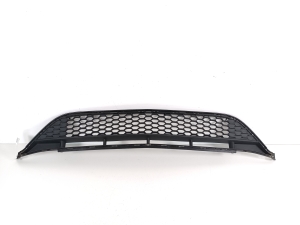   Front bumper lower grille 