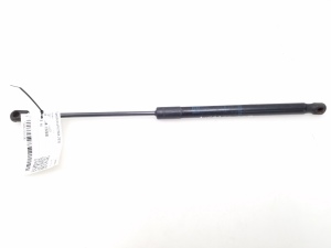 Hood prop/gas strut - 131226950512