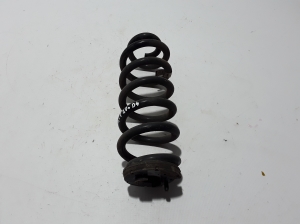   Rear spring 