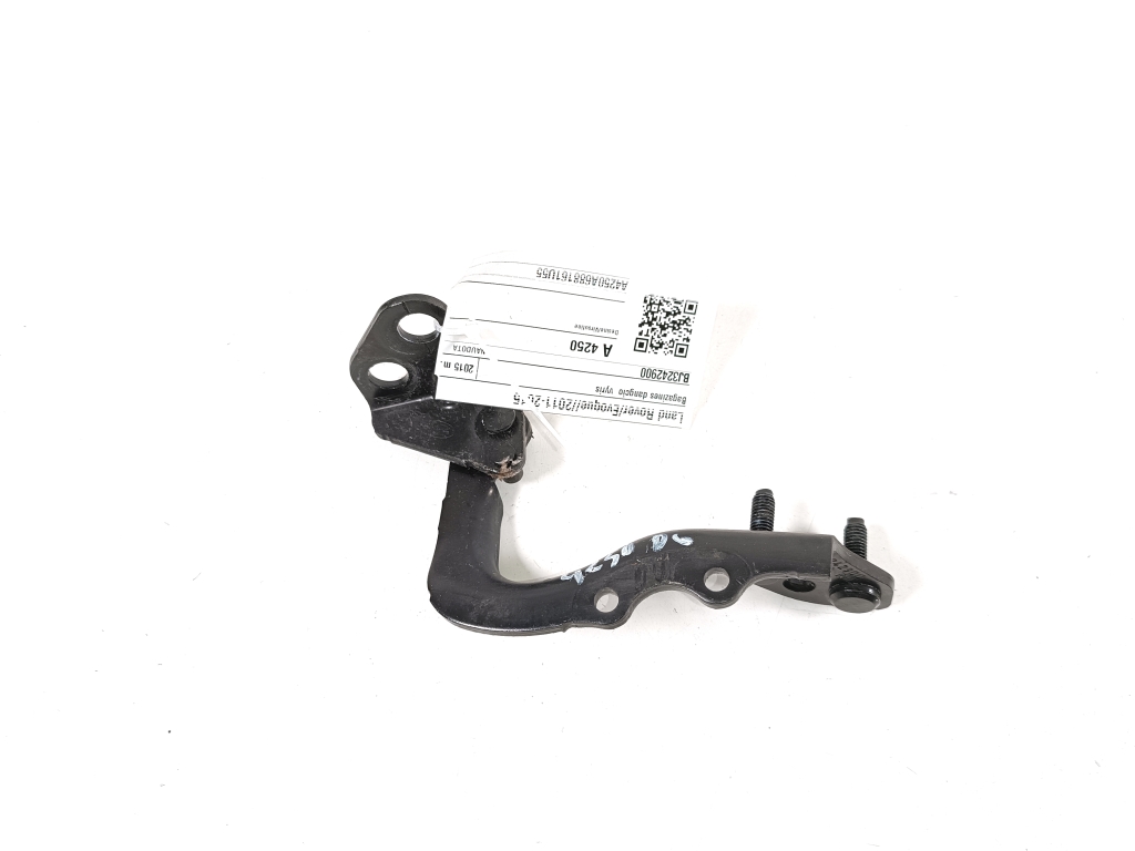 LAND ROVER Range Rover Evoque L538 (1 gen) (2011-2020) Labās puses bagāžnieka eņģe BJ3242900,LR051478 26809824