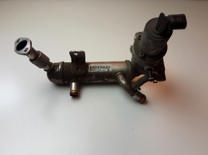  EGR valve and its parts 