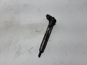   Fuel injector 