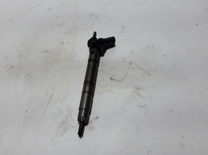   Fuel injector 