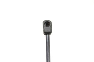 BMW X6 E71 (2008–2014) Hood prop/gas strut 7148346 - 4