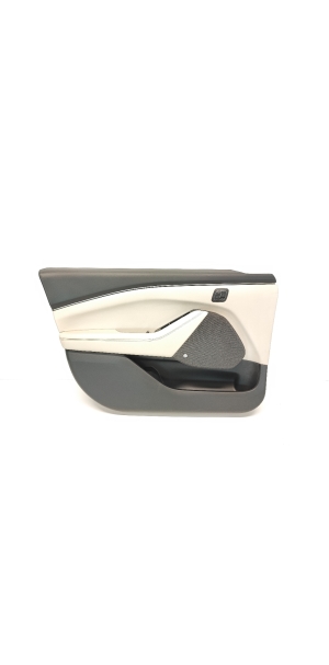Front door panel and its parts - LJ8B-R060B01-A