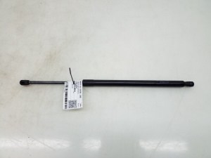   Trunk lid shock absorber 