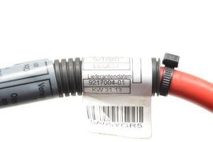 BMW X6 E71 (2008–2014) Pluskabel 9217004 - 4