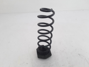 Rear spring - 550200035R