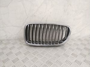Front grille - 7200727