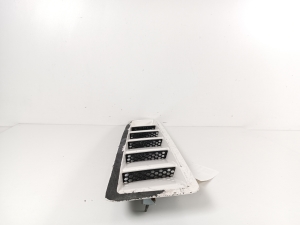 Ford Mustang (2005–2014) Motorhaubengitter DR3316C929ADW - 6