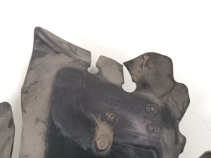 Citroen DS4 (2011–2018) Luftleitblech für den Kühler 9671970080 - 2