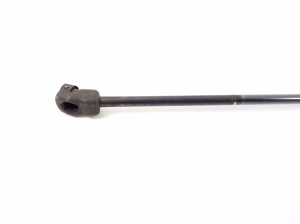 Jaguar XJ (2009–2026) Hood prop/gas strut AW9316C826AC - 2