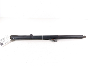 Tesla Model S S (2012–2026) Heckklappendämpfer 600661000B - 3