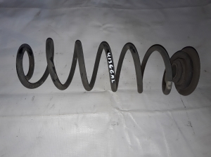   Feder hinten  -  