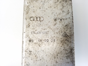 AUDI A6 C6 (2004–2011) Stoßdämpfer für Heckstoßstange 4F9807331 - 3