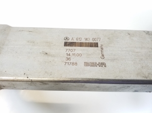 Mercedes Benz ML-Class 163 (1998–2005) EGR-klapi jahuti A6121420077 - 2