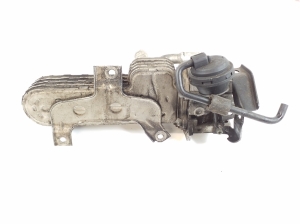 Volkswagen Golf V (2003–2009) AGR-Ventilkühler 038131513 - 3