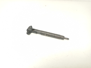   Fuel injector 