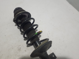 RENAULT Arkana (2019–2026) Stoßdämpfer hinten 562107325R - 4