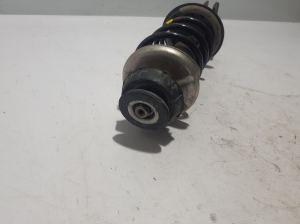 RENAULT Arkana (2019–2026) Stoßdämpfer hinten 562107325R - 4
