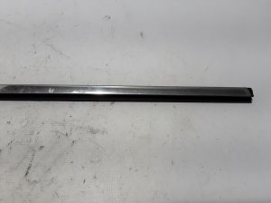 RENAULT Arkana (2019–2026) Außenfensterdichtung vordere Tür 808200268R - 3