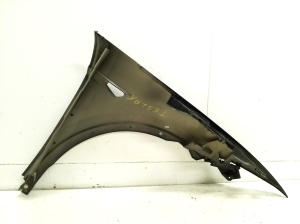 Tesla Model X X (2015–2026) Vorderer Kotflügel - 3