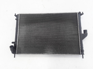 Dacia Duster (2010–2017) Cooling radiator 8200735039 - 5