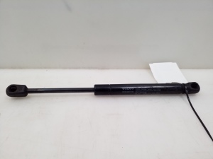 Hood prop/gas strut - 30649516
