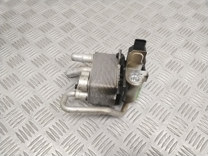 Other radiator - 25670GI000