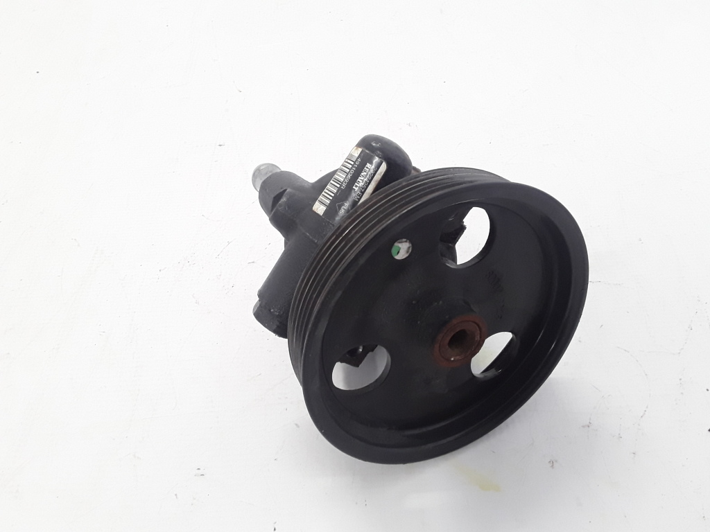 Used Dacia Duster Power steering pump 491103693R