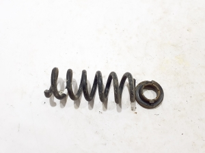 Ford Mustang Mach-E Mach-E (2020–2026) Rear spring LJ9C-5560-ANF - 2