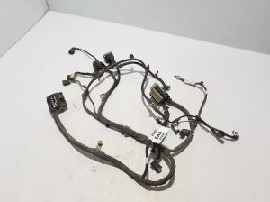 Ford Mustang Mach-E Mach-E (2020–2026) Juhtmestik NJ8T14B599EAA - 2