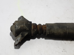 AUDI A4 B9 (2015–2026) Rear shock absorber 8W9513035D - 2