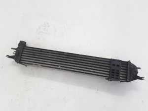 RENAULT Laguna III (2007–2015) Intercooler 144960001R - 6