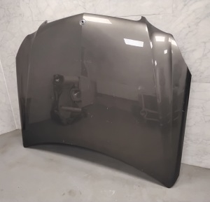 Motorhaube - 212202110001