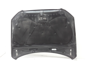 AUDI Q5 (2008–2017) Capot 8R0823029 - 2