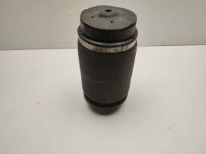 Mercedes Benz GL-Class 166 (2012–2015) Luftfeder Hinterachse A1663200325 - 2