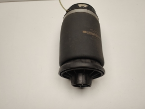 Rear axle air spring - A1663200325