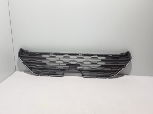 Front grille - 5311242340