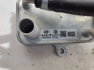 Kia EV 6 CV (2021–2026) Other radiator 254N0GI000 - 2