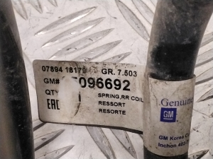 Opel Antara (2006–2017) Rear spring 95096692 - 2