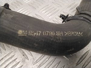 Opel Antara (2006–2017) Voolik 95470790 - 3