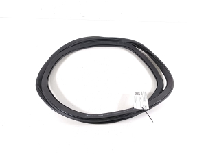   Rear side door seal on the door  - 11A867913C 