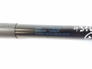 BMW Z4 E89 (2009–2016) Heckklappendämpfer 7191255 - 3