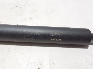 Kia EV 6 CV (2021–2026) Rear shock absorber 81841CV100 - 2