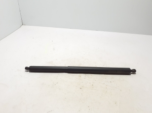   Rear shock absorber  - 81841CV100 