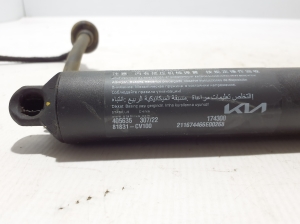 Kia EV 6 CV (2021–2026) Stoßdämpfer hinten 81831CV100 - 3